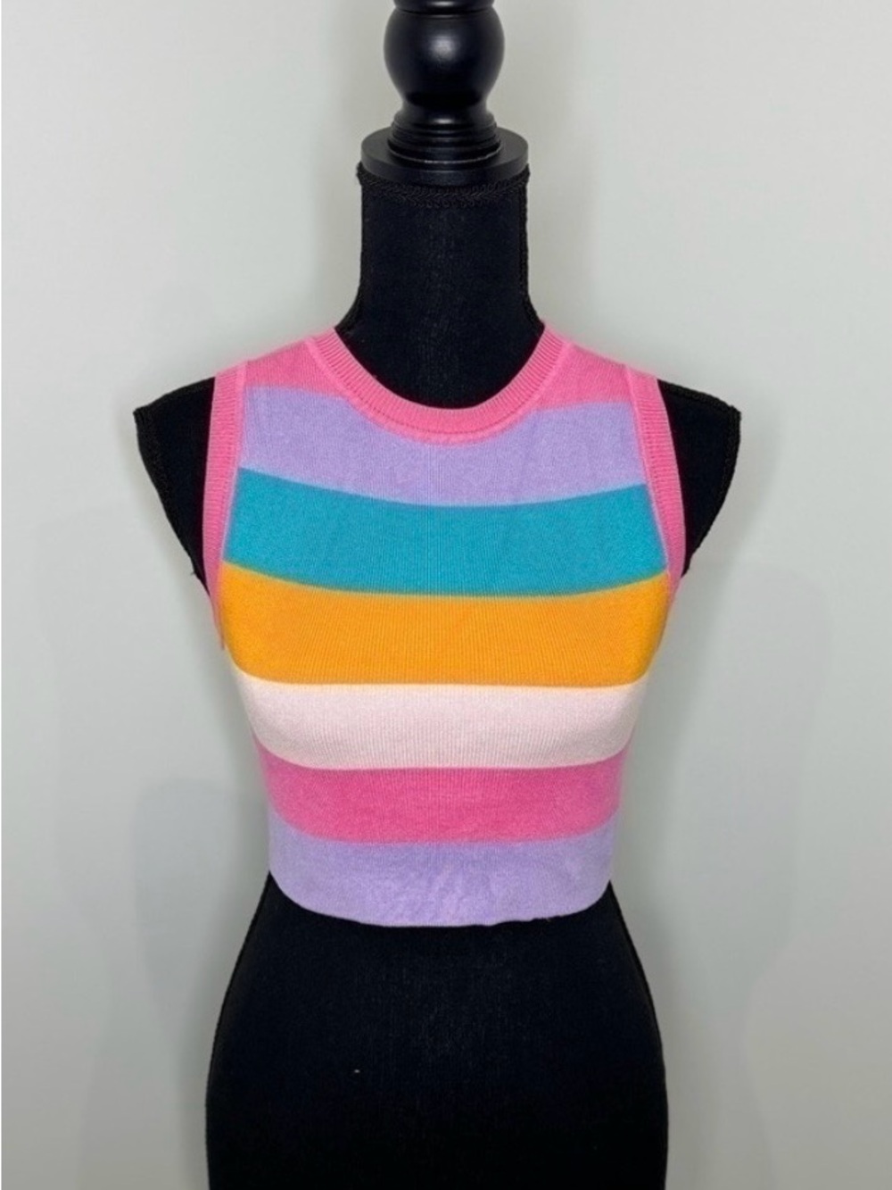 Zara Multi Color Crop Sleeveless Sweater Stretchy Top (S)